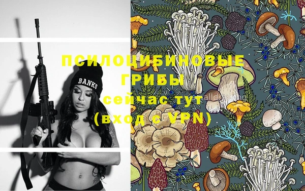 крисы Алексин