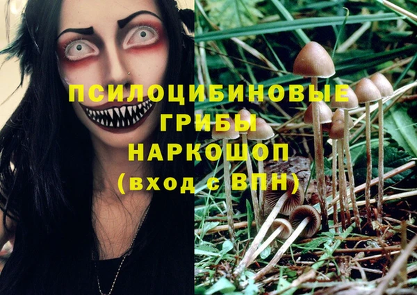 крисы Алексин