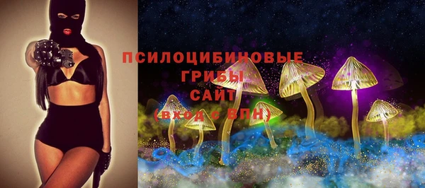 твердый Алзамай