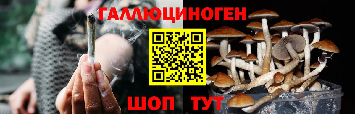 Урай  Псилоцибиновые грибы прущие грибы  продажа наркотиков  Вход с VPN 
